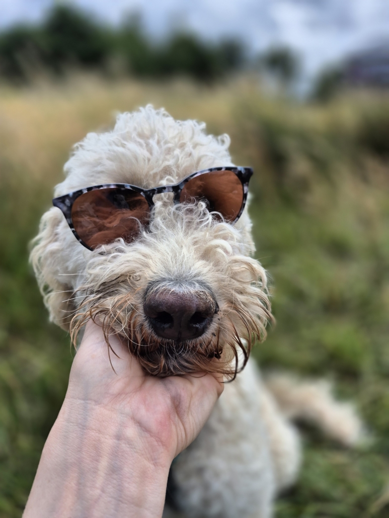 Bobbie-Cool